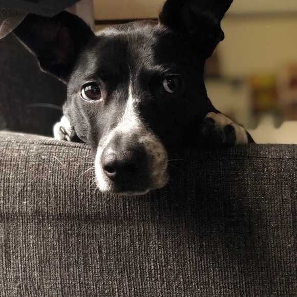 Meet your Posher, Katherine - Picture 2 of 3